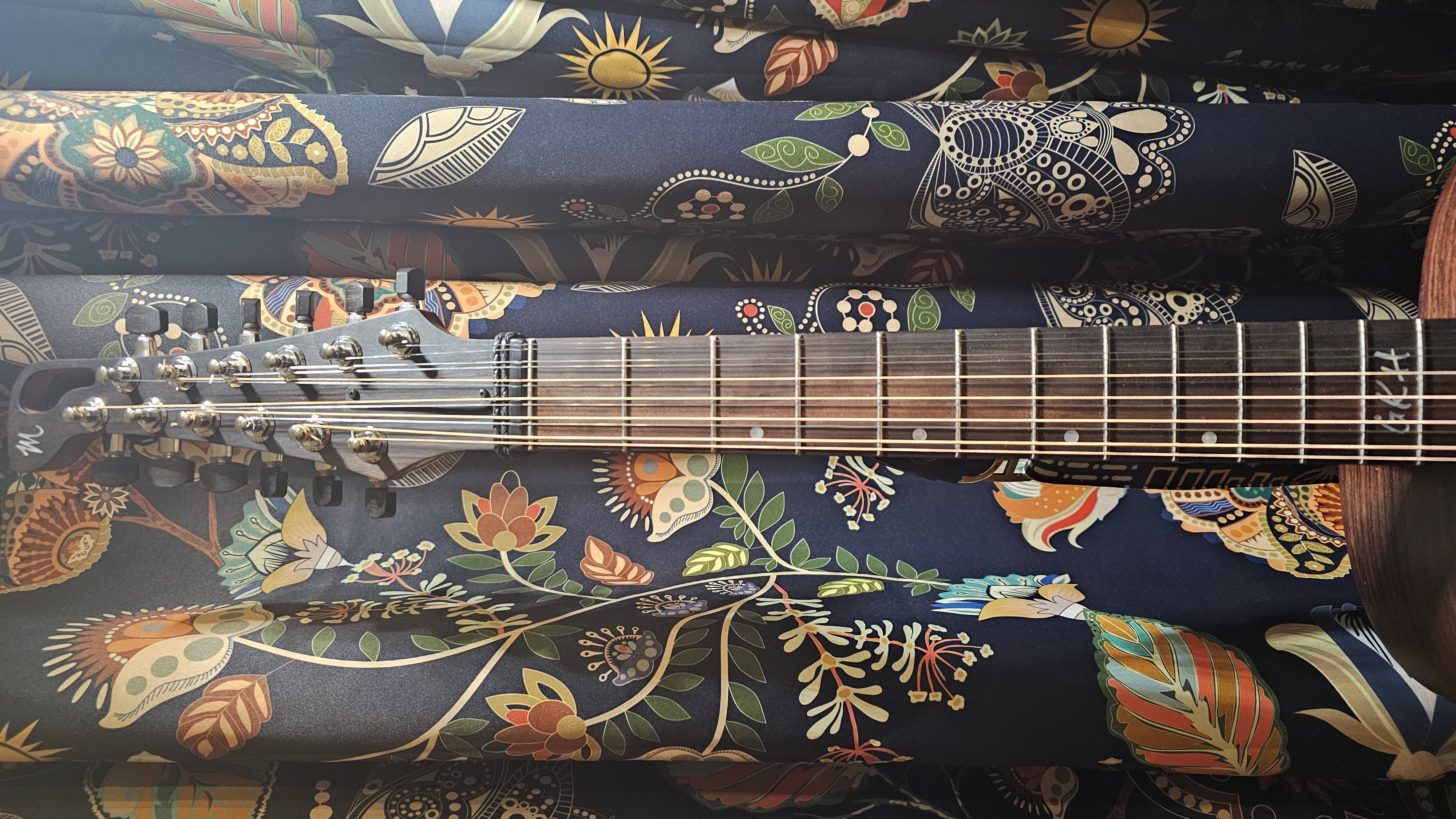 Ebony and Ebony, with buffalo horn nut